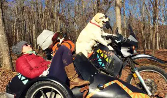 Motorcycle Adventure Challenge: Operation Moto Dog